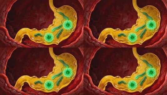 肠道内细菌病菌微观素材高清在线视频素材下载