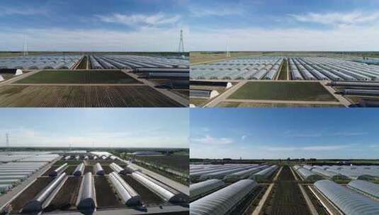 航拍三农业水果蔬菜种植基地温室育秧苗大棚高清在线视频素材下载