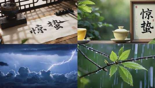 自然生态惊蛰高清在线视频素材下载