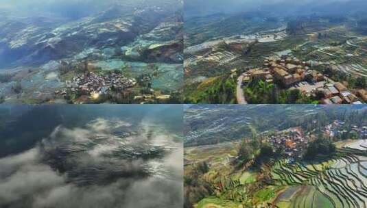 七彩云南梯田大地油画农业稻田禾苗高清在线视频素材下载