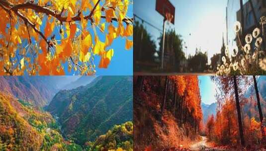 我们的时光-赵雷高清在线视频素材下载