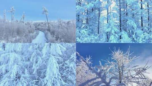 北方冬季雪松山林雾凇雪景高清在线视频素材下载
