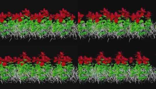 广叶植物3D渲染高清在线视频素材下载