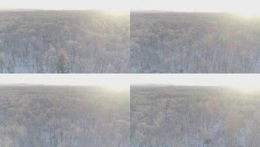 唯美长白山原始森林日出雪景航拍高清在线视频素材下载
