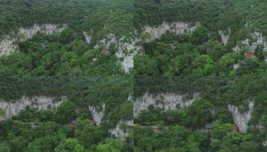 航拍悬崖下的大树4K高清在线视频素材下载