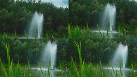 树林里的喷泉高清在线视频素材下载
