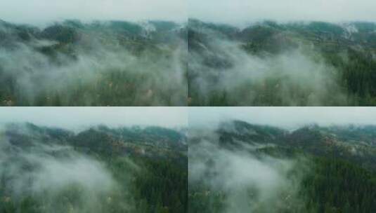 航拍雾气缭绕的森林高清在线视频素材下载