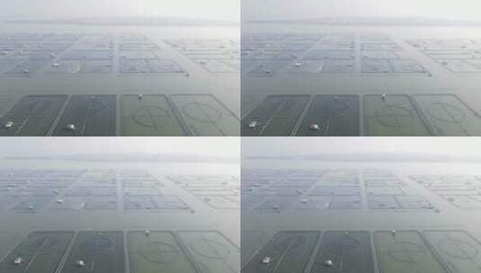 苏州阳澄湖大闸蟹基地4K航拍原素材高清在线视频素材下载