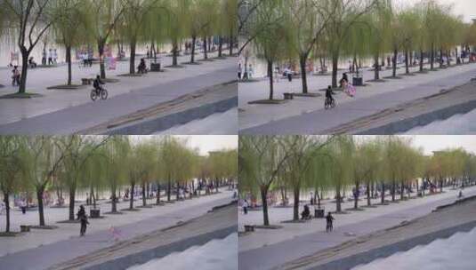 武汉江滩公园小孩骑自行车树木风筝春天高清在线视频素材下载
