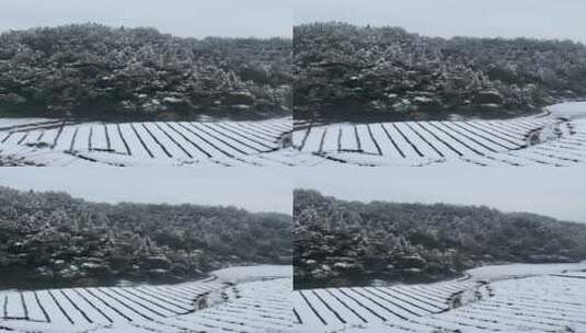 雪景 踏雪进山 雪中行 大雪高清在线视频素材下载