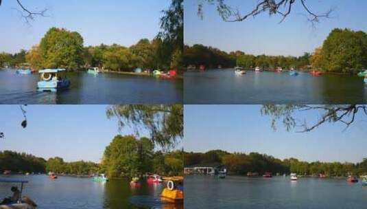 阳光公园湖泊划船高清在线视频素材下载