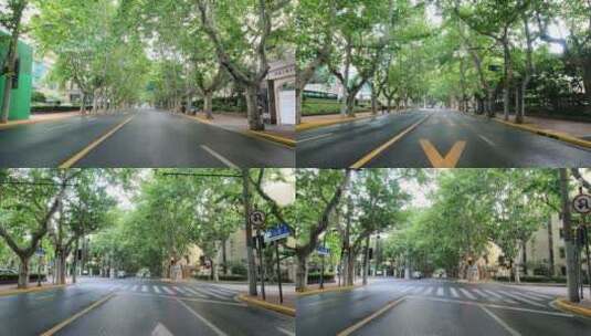 上海封城中的寂静街道绿化环境高清在线视频素材下载