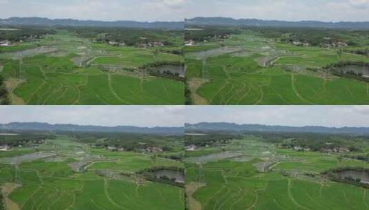 航拍农业农田种植稻田风光高清在线视频素材下载