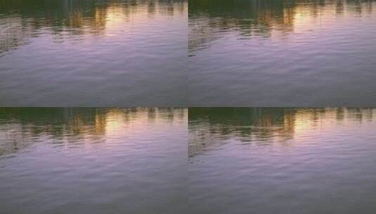 8K实拍金色水面湖面波光粼粼江面湖水高清在线视频素材下载