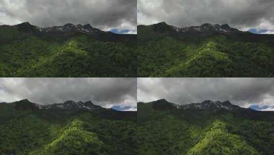 云南迪庆州白马雪山森林自然风光航拍高清在线视频素材下载