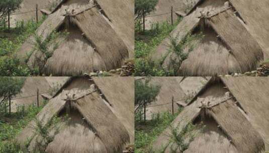 翁丁古寨部落少数民族茅草房高清在线视频素材下载