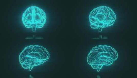 3d人体大脑器官全息图可视化环绕动画高清在线视频素材下载