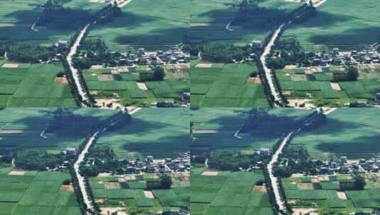 大自然田野田园风舒适草原农村风景高清在线视频素材下载