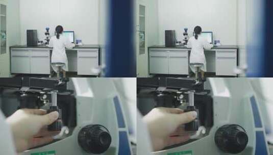 实验室-电子显微镜观察细胞高清在线视频素材下载