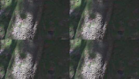 园林建筑风景 杭州西湖 宝石山 保俶塔高清在线视频素材下载