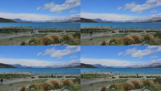 新西兰特卡波湖的游客高清在线视频素材下载