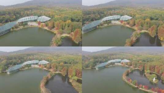 南京湖泊前湖景区景点航拍高清在线视频素材下载