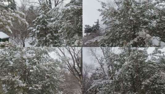 雪后景色高清在线视频素材下载