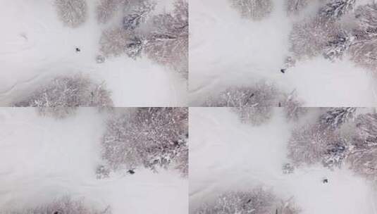 航拍雪景雪地男子在雪中行走高清在线视频素材下载