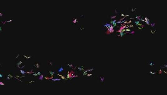 彩虹蝴蝶飞舞动画素材带Alpha透明通道视频高清在线视频素材下载