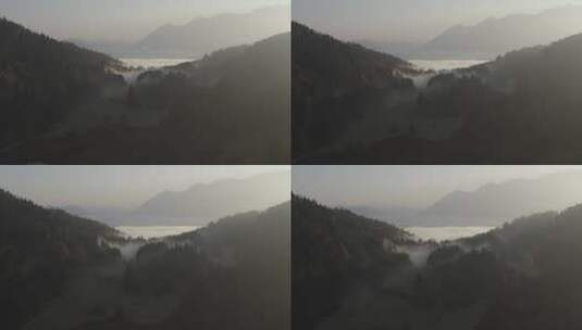 山林中的云海高清在线视频素材下载