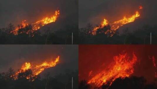 4K森林山火火灾高清在线视频素材下载