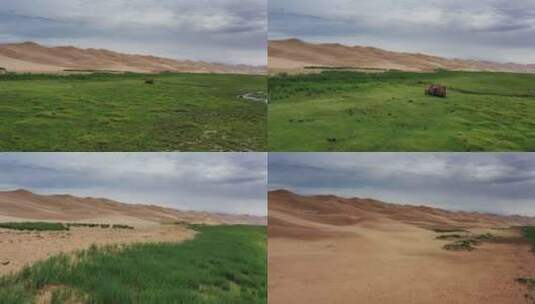 戈壁沙漠的骆驼沙丘高清在线视频素材下载