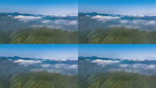 云海山川森林大山风景云海云雾高清在线视频素材下载