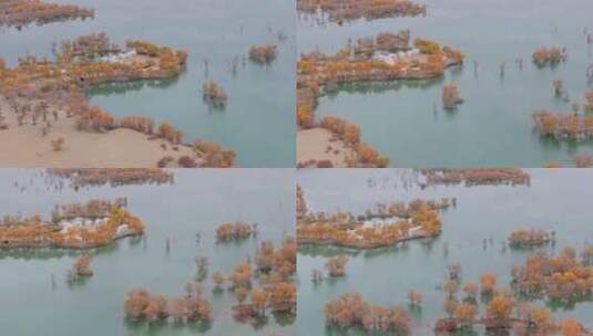 航拍秋天新疆葫芦岛风景高清在线视频素材下载