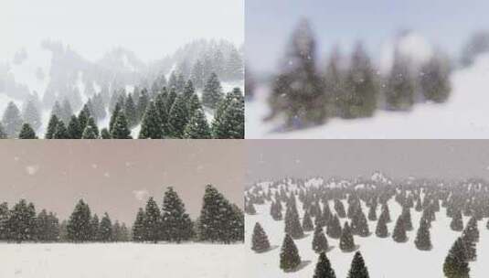 冬天森林下雪视频高清在线视频素材下载