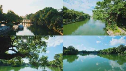 桂林两江四湖公园湖边树荫风景高清在线视频素材下载