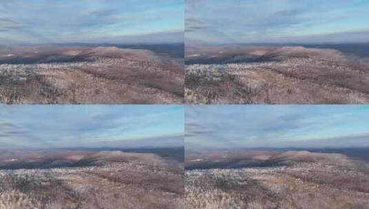 大兴安岭冬季黄昏时的林海雪原高清在线视频素材下载