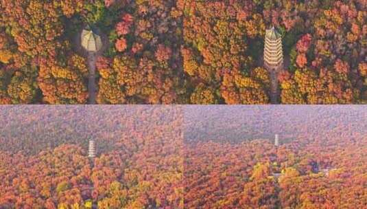 南京钟山风景区灵谷寺秋景高清在线视频素材下载