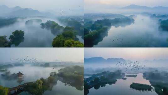 飞鸟掠过云雾缭绕的杭州西溪湿地_nyx3高清在线视频素材下载