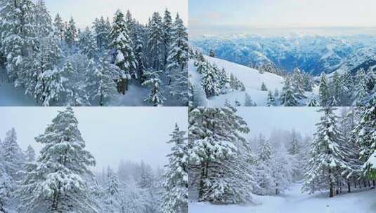 吉林四方顶雾凇 雪景高清在线视频素材下载