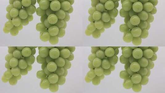 绿葡萄微距特写素材高清在线视频素材下载