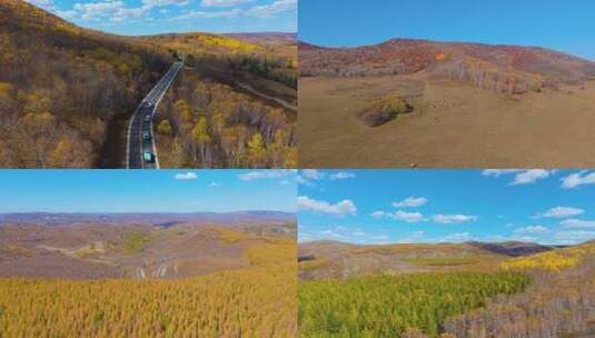 大兴安岭的秋天高清在线视频素材下载