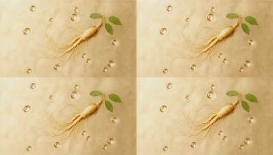 人参药材微距特写素材高清在线视频素材下载