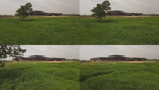 二里头夏都遗址博物馆高清在线视频素材下载