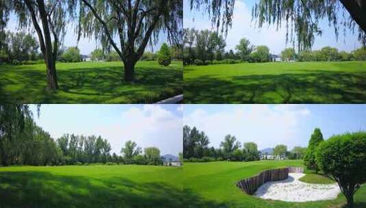 户外绿地树林自然景观高清在线视频素材下载