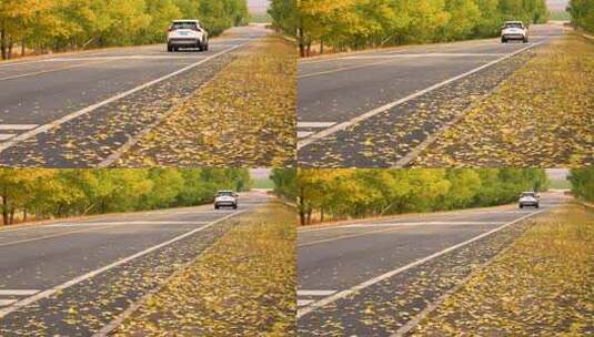 4K车辆行驶在飘满金黄落叶的道路实拍高清在线视频素材下载