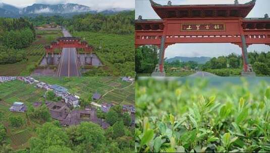 雅安 上里 古镇 游客 街道 茶山高清在线视频素材下载