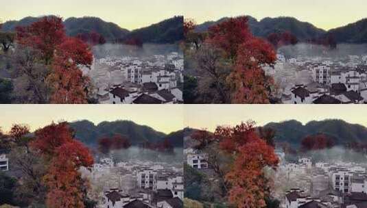 江西石城秋景红枫古村清晨航拍高清在线视频素材下载