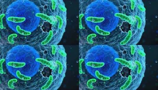 细胞与细菌微观画面高清在线视频素材下载