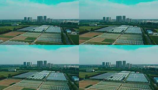 连栋温室大棚 蔬菜大棚 育苗大棚 智能温室高清在线视频素材下载